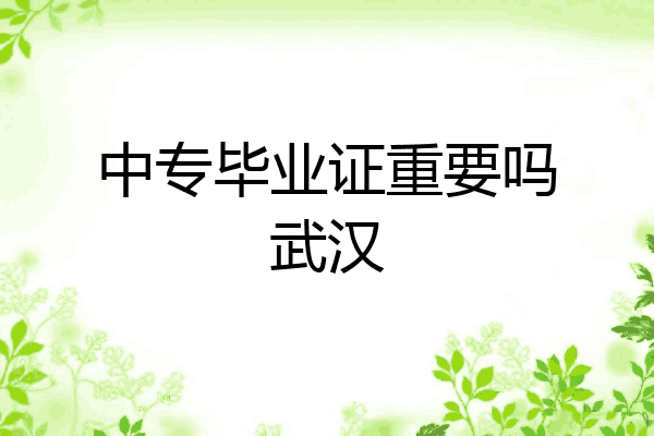 中专毕业证重要吗武汉