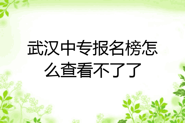 武汉中专报名榜怎么查看不了了