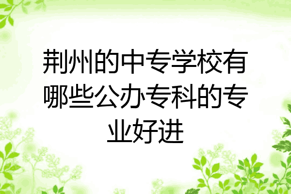 荆州的中专学校有哪些公办专科的专业好进