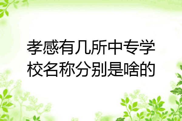 孝感有几所中专学校名称分别是啥的