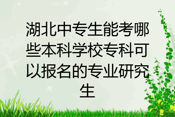 湖北中专生能考哪些本科学校专科可以报名的专业研究生