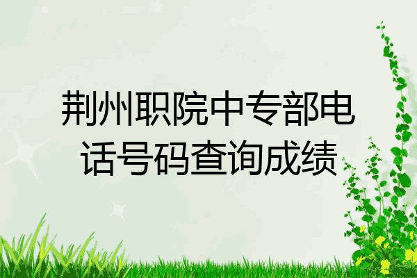 荆州职院中专部电话号码查询成绩