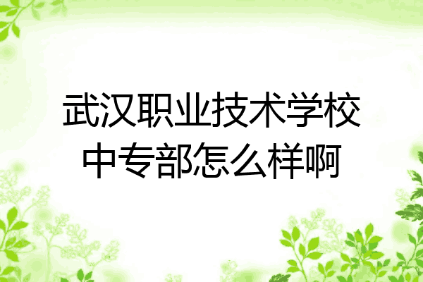 武汉职业技术学校中专部怎么样啊