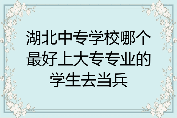 湖北中专学校哪个最好上大专专业的学生去当兵