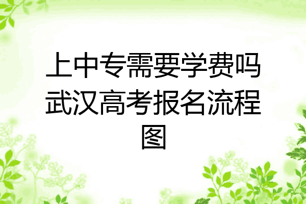 上中专需要学费吗武汉高考报名流程图