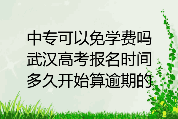 中专可以免学费吗武汉高考报名时间多久开始算逾期的