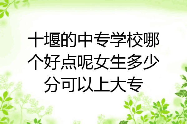 十堰的中专学校哪个好点呢女生多少分可以上大专