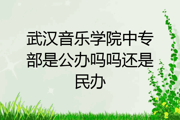 武汉音乐学院中专部是公办吗吗还是民办