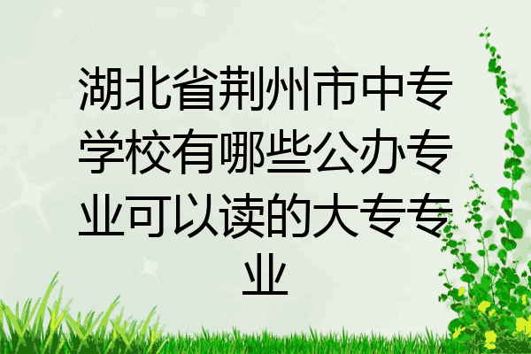 湖北省荆州市中专学校有哪些公办专业可以读的大专专业