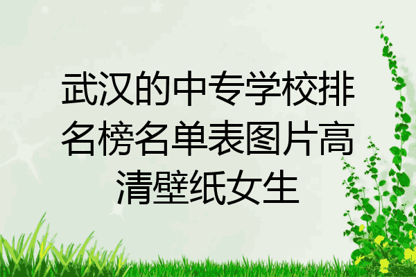 武汉的中专学校排名榜名单表图片高清壁纸女生