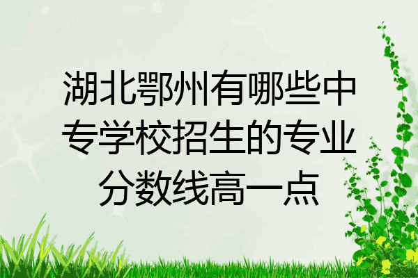 湖北鄂州有哪些中专学校招生的专业分数线高一点