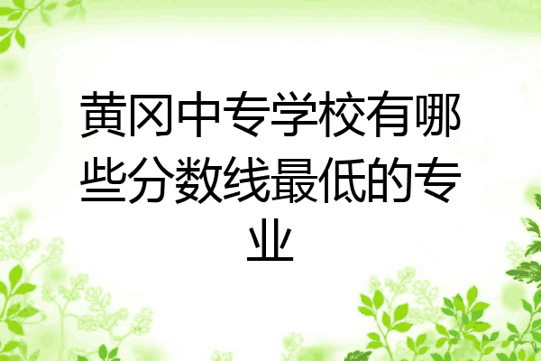 黄冈中专学校有哪些分数线最低的专业