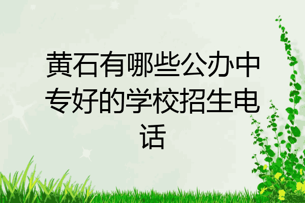 黄石有哪些公办中专好的学校招生电话