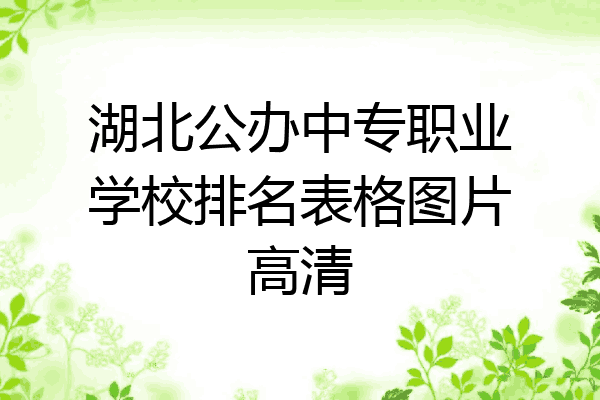 湖北公办中专职业学校排名表格图片高清