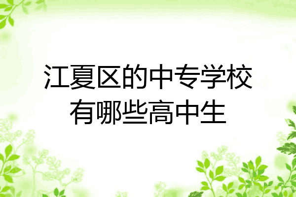 江夏区的中专学校有哪些高中生