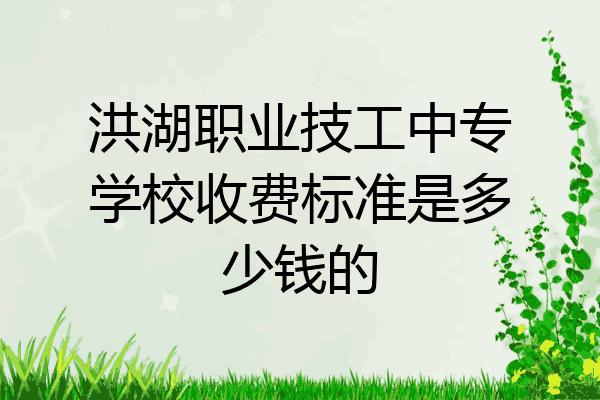 洪湖职业技工中专学校收费标准是多少钱的