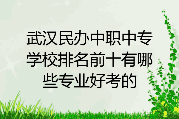 武汉民办中职中专学校排名前十有哪些专业好考的