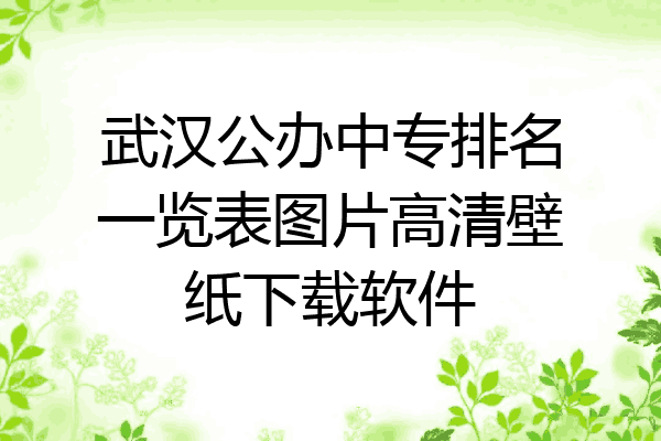 武汉公办中专排名一览表图片高清壁纸下载软件