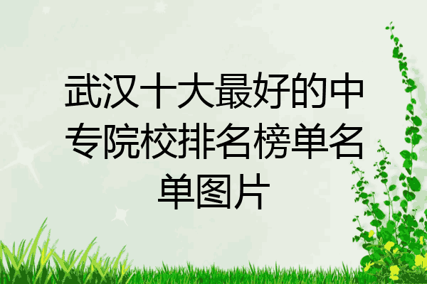 武汉十大最好的中专院校排名榜单名单图片