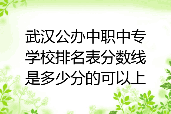武汉公办中职中专学校排名表分数线是多少分的可以上
