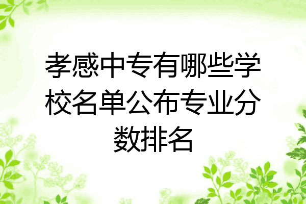 孝感中专有哪些学校名单公布专业分数排名