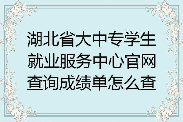 湖北省大中专学生就业服务中心官网查询成绩单怎么查