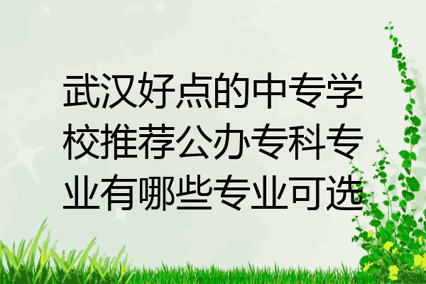武汉好点的中专学校推荐公办专科专业有哪些专业可选