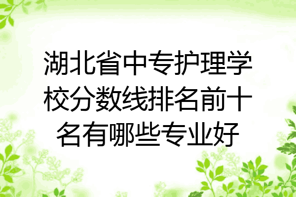 湖北省中专护理学校分数线排名前十名有哪些专业好
