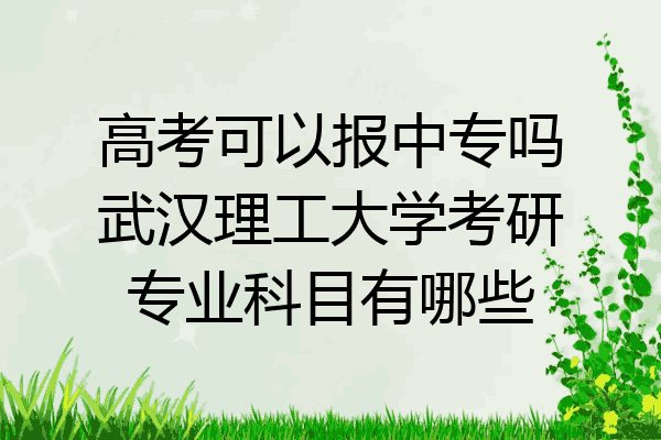 高考可以报中专吗武汉理工大学考研专业科目有哪些