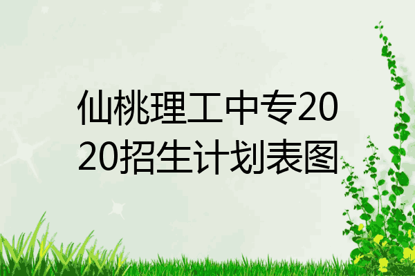 仙桃理工中专2020招生计划表图