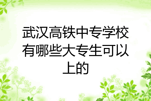 武汉高铁中专学校有哪些大专生可以上的
