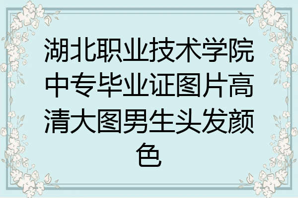 湖北职业技术学院中专毕业证图片高清大图男生头发颜色
