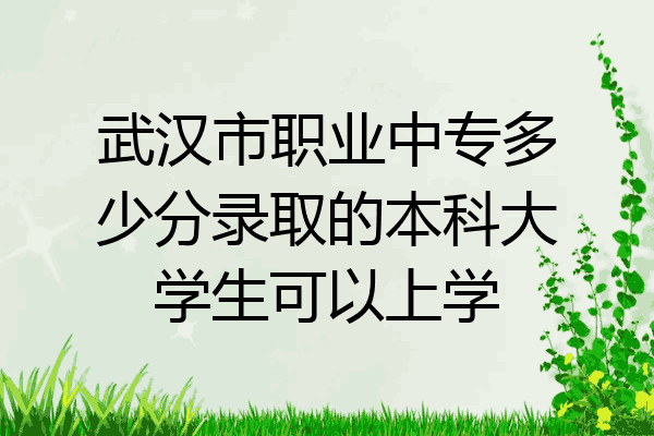武汉市职业中专多少分录取的本科大学生可以上学
