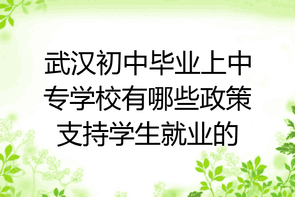 武汉初中毕业上中专学校有哪些政策支持学生就业的