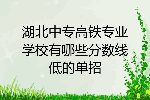 湖北中专高铁专业学校有哪些分数线低的单招