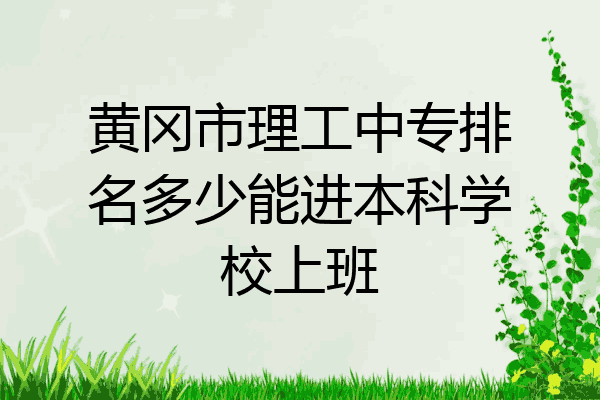 黄冈市理工中专排名多少能进本科学校上班