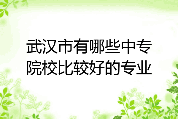 武汉市有哪些中专院校比较好的专业