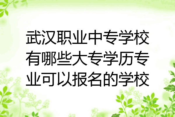 武汉职业中专学校有哪些大专学历专业可以报名的学校