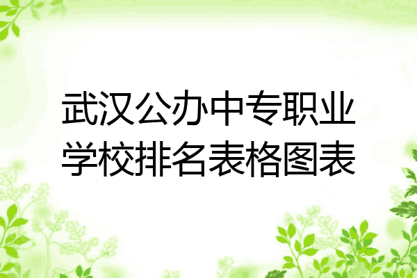武汉公办中专职业学校排名表格图表