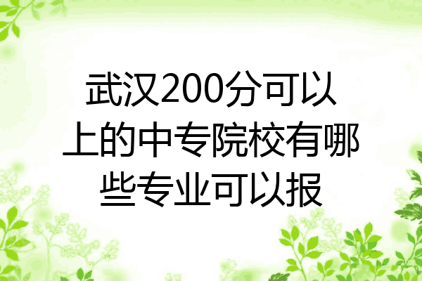 武汉200分可以上的中专院校有哪些专业可以报