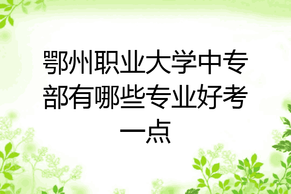 鄂州职业大学中专部有哪些专业好考一点