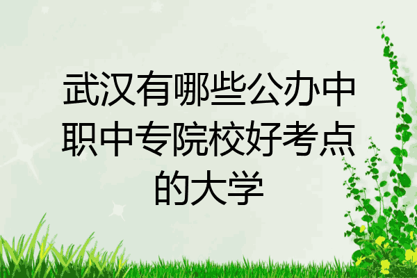 武汉有哪些公办中职中专院校好考点的大学