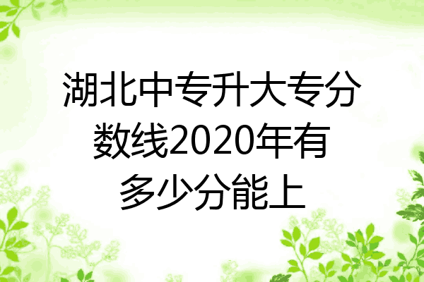 湖北中专升大专分数线2020年有多少分能上
