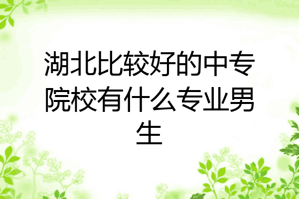 湖北比较好的中专院校有什么专业男生