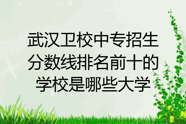 武汉卫校中专招生分数线排名前十的学校是哪些大学