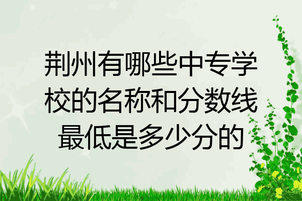 荆州有哪些中专学校的名称和分数线最低是多少分的