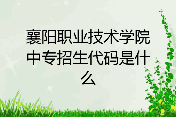 襄阳职业技术学院中专招生代码是什么