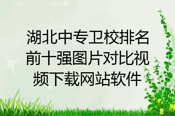 湖北中专卫校排名前十强图片对比视频下载网站软件