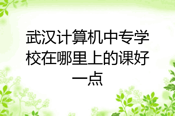 武汉计算机中专学校在哪里上的课好一点