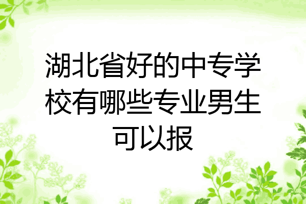 湖北省好的中专学校有哪些专业男生可以报